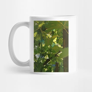 Grape Vine Mug